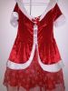 Adult Female Costumes to Hire - * Mrs Claus dress with Snowflakes *